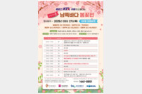 관광공사, KTX 중앙선 개통 연계 부산 봄꽃 여행상품 출시