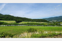 [경마]공주 폐마목장 구조 16두,모두 새 입양처 찾아