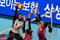 메가, 혼신을 다한 스파이크 공격!