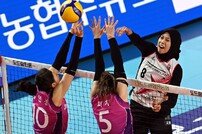 메가, 득점 폭발~