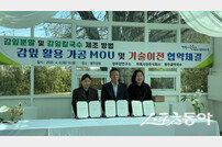 경북도, 감잎 활용한 지역특화제품 개발…상생 모델로 지역경제 활성화