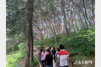 강화군, ‘마니산 치유의 숲 체험’ 자연 속에서 몸과 마음을 치유
