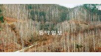 [김화성 전문기자의 &joy]겨울숲 지키는 하얀 정령의 세계로