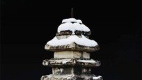 [한국의 석탑]신륵사 다층석탑 (보물 제225호·조선시대)