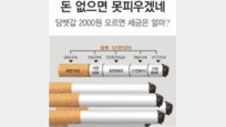 [그래픽 뉴스]흡연자 1년 세금=9억짜리 아파트 재산세
