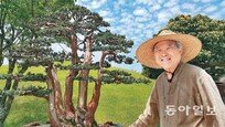[김선미 기자의 談담]나무로 맺은 인연… “중국은 소중한 이웃 나무”
