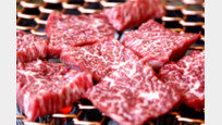 [황광해의 역사속 한식]달단족의 쇠고기