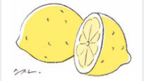 [조경란의 사물 이야기]레몬