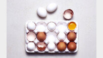 [데이터 비키니] 어릴 때 흰 달걀 먹었으면, 당신은 아재?