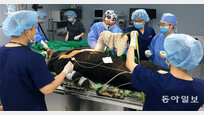 버스 치인 반달곰, 세계 첫 복합골절수술