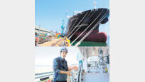 LNG로 가는 컨테이너선, 수소전지 선박… 현대重, 친환경 앞장