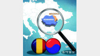 남북한의 통일, 루마니아와 몰도바의 통일[알파고 시나씨 한국 블로그]