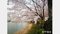 스마트폰으로 봄 꽃 사진 찍을 땐 이렇게![이럴땐 이렇게!]
