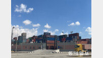 [글로벌 현장을 가다/김기윤]‘중국 공단’ 된 이집트 항구… 홍해 위기에도 中선박은 무사통과