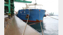 “러시아, 北나진항서 석탄 운송할 선박 수배…총 1만 톤 대기 중”