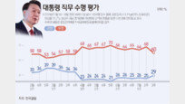 尹 직무 긍정평가, 4%P 올라 29%