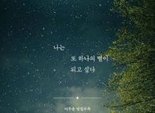 삶은 끊임없이 문제를 해결하고, 조금씩 나아가는 과정이다
