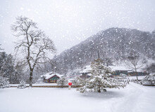 ‘겨울 여행의 진짜 가치’ 강원 정선