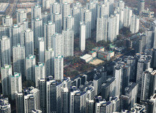 “제가 먼저 계약할게요”… 2030, 한 집 두고 ‘패닉 바잉’ 경쟁