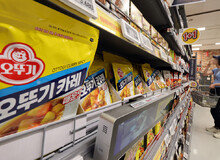 오뚜기, 카레·케첩 등 29개 품목 가격 인상… 최대 17% 올려
