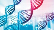 [신문과 놀자!/눈이 커지는 수학]수학으로 예측한 DNA 염기 서열 ‘세 글자 암호’의 법칙