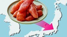 명란이 일본으로 전해진 경로[김창일의 갯마을 탐구]〈99〉