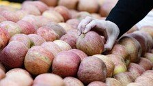 금값 된 사과, 왜 수입 안되나? 7가지 의문[세종팀의 정책워치]
