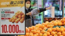 “오렌지 주스 못마시나”…日 업체 판매 중단, 韓 ‘시장철수·가격인상’ 고심