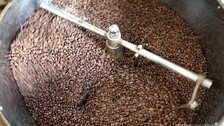 디카페인 커피, 어떻게 만들기에…일부 제품 유해성 논란