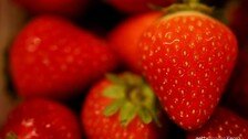 국내 당뇨병 환자 600만 명…‘녹차·딸기·사과’ 매일 먹어야 할 이유