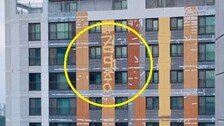 재도장 공사 중인 아파트 외벽에 쓰인 ‘김대중’ 세 글자…왜?