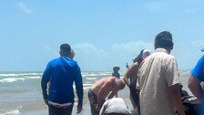 순식간에 ‘피바다’된 해변…상어 습격에 4명 부상