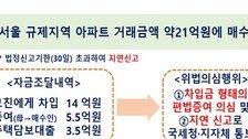 ‘본인 돈 0원으로 21억 서울 아파트 매수’ 수도권 위법의심 거래 397건 적발