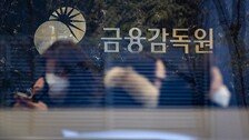 [단독]금감원 퇴직자 31명중 13명… 금융사로 곧장 재취업 논란