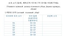 “조선식 치수 쓰세요”…러시아, 파병 北 군인에 한글 설문지 준비