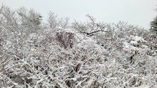 찬바람에 겨울 추위 성큼…서울 첫눈 언제 오나