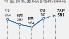 “종신보험 5∼7년 들면 최대 120% 환급”… 보험사 과열경쟁 논란