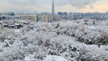 117년 만에 서울 11월 가장 많은 눈…모레까지 전국 최대 30cm 더 온다 