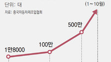 BYD “부품값 10% 인하”… 중국발 전기차 ‘출혈 경쟁’ 심해질듯