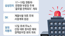 [단독]삼성전자 “비상경영 상황, 해외총괄 9명 전원 귀국”