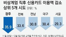 계엄으로 소비 꽁꽁, 이달초 신용카드 이용액 26% 급감