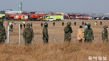 광주전남권 유일 국제공항… 습지 많아 조류활동 활발