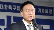 법원, 대한축구협회 회장 선거 금지 가처분 인용