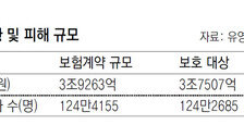 [단독]MG손보 청산-파산시 보험계약 피해규모 1700억 넘어