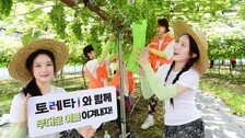 [온라인 라운지]코카-콜라사, ‘토레타!’로 대학생 농활 지원… “여름철 수분 보충 함께”