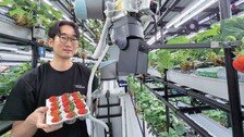 딸기도 척척 수확…AI 농업 로봇, 농촌 고령화 해법 주목