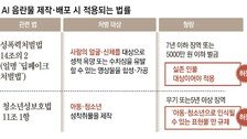 [단독]‘성인 AI 음란물’ 수백만건 판쳐도, 실존인물 아니면 처벌 어려워