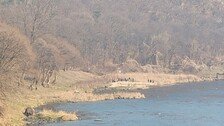 영동 금강변서 남성 시신 발견…두 달 전 천태산 실종 노인 추정