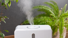 가습기, 독감 예방에 얼마나 효과 있나? 과학이 밝힌 진실