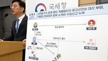 외국 회사인척 달러 빼돌렸다…외환부당 유출 등 31곳 세무조사
